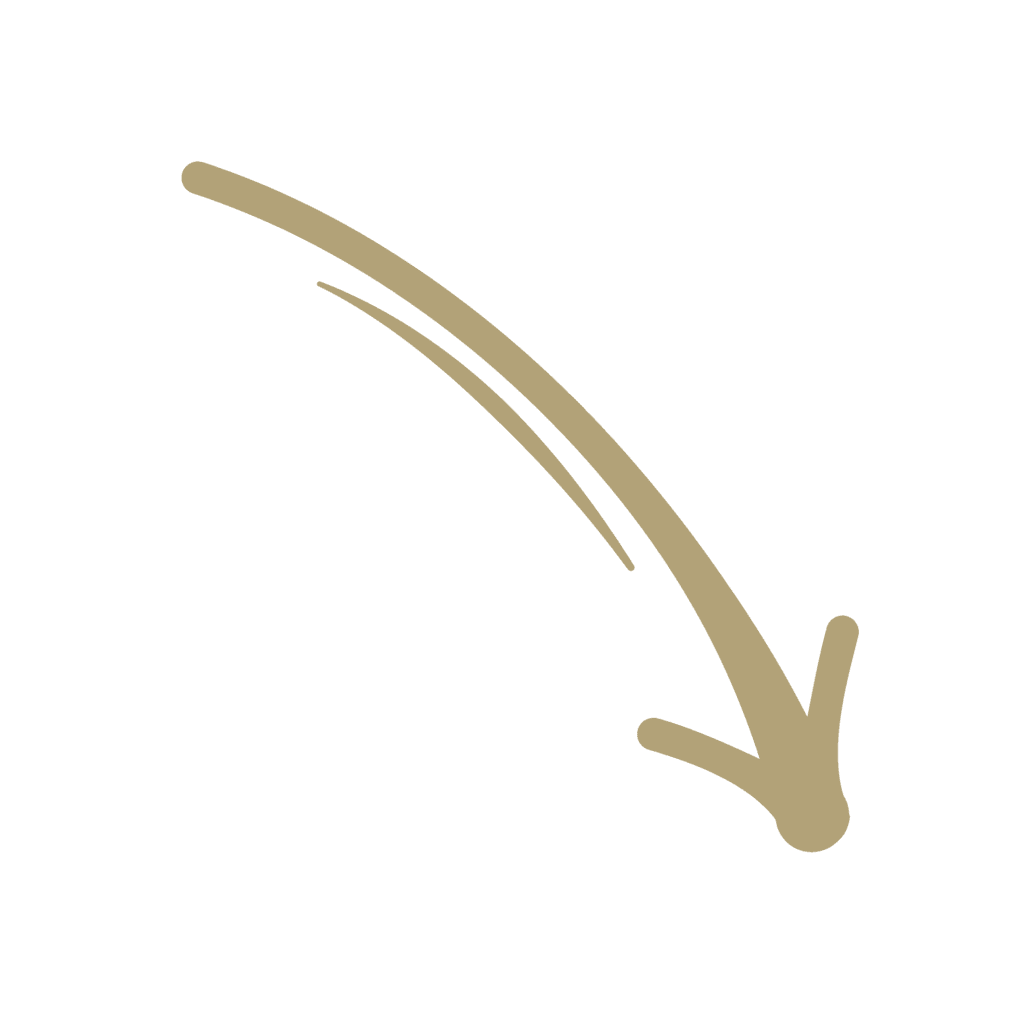 Icon Pfeil nach unten